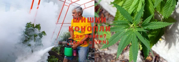 амф Балахна