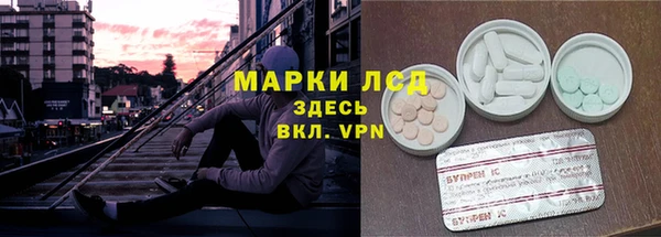 стафф Баксан