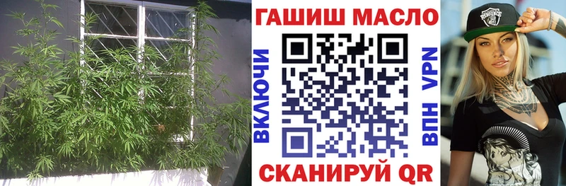 ТГК Wax  Краснообск 
